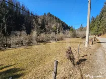 Teren intravilan 2690 mp la munte, Garda de Sus