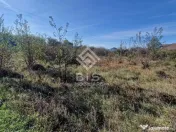 Teren Intravilan Unirea 1700mp 