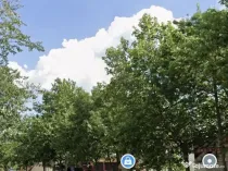 Vitan, teren suprafata 700 mp