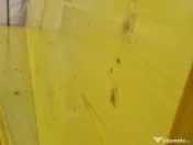 Panouri tip doka pentru cofraje 