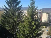 Vand apartament 2 camere decomandat Deva, Bld. Balcescu, 22 Decembrie 