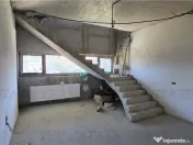 Domnesti - Potential investitional/ Casa la gri 476mp si ter 