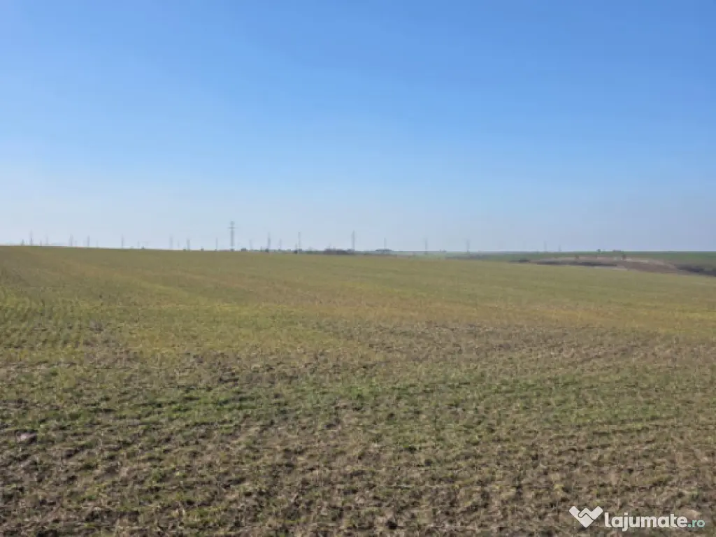 Teren intravilan, 4750 mp, zona Exterior Nord