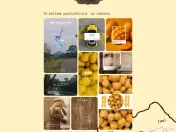 Social Media Management - Marketing online 