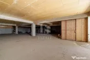 Spatiu comercial 424 mp Oportunitati multiple - Baneasa J... 