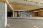 Spatiu comercial 424 mp Oportunitati multiple - Baneasa J... 