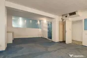 Spatiu comercial 424 mp Oportunitati multiple - Baneasa J... 