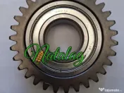 Pinion cositoare Fella 31 d 