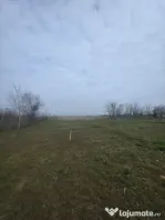 Teren intravilan, 5000 mp, zona Rovine 2 UTILITATI