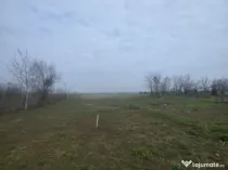 Teren intravilan, 5000 mp, zona Rovine 2