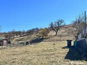 Teren Intravilan Luncani Bacau 