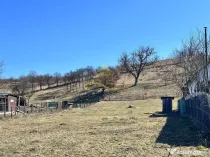 Teren Intravilan Luncani Bacau