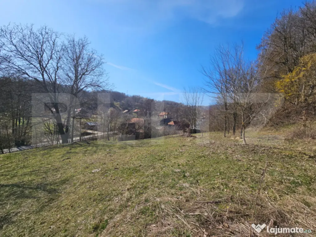 Teren intravilan 6.820 mp cu casă, pădure și râu – Alm