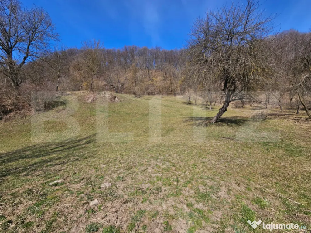 Teren intravilan 6.820 mp cu casă, pădure și râu – Alm