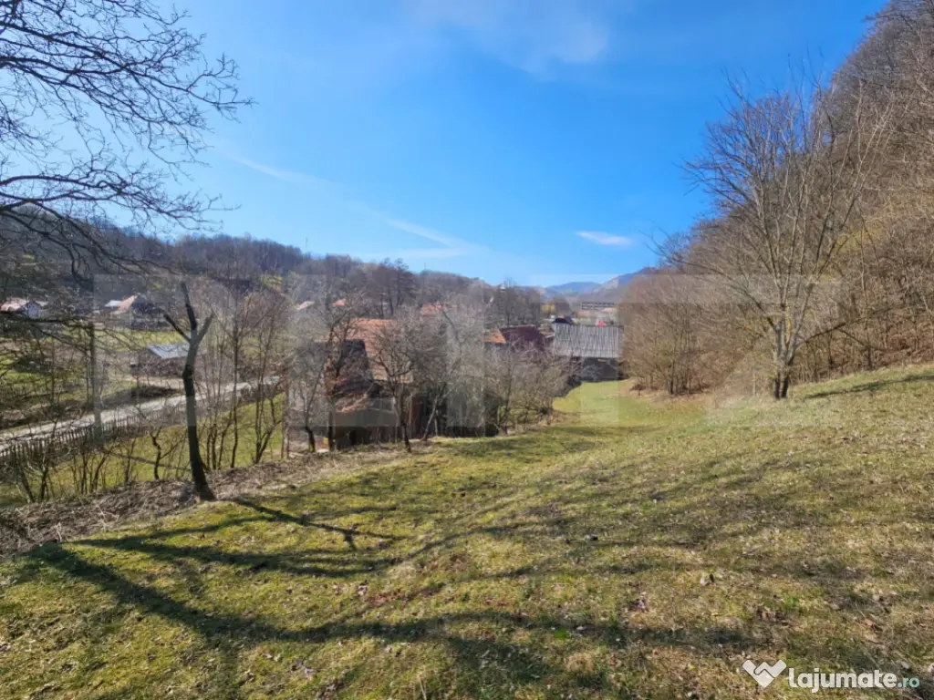 Teren intravilan 6.820 mp cu casă, pădure și râu – Alm