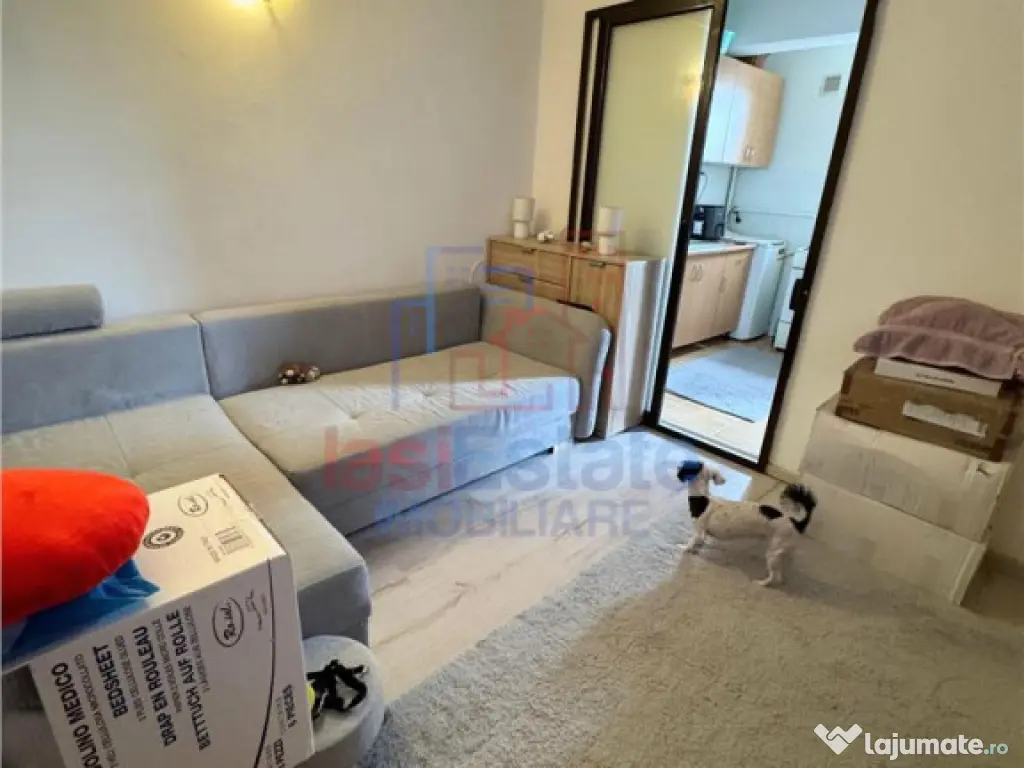 Garsoniera zona Alexandru cel Bun