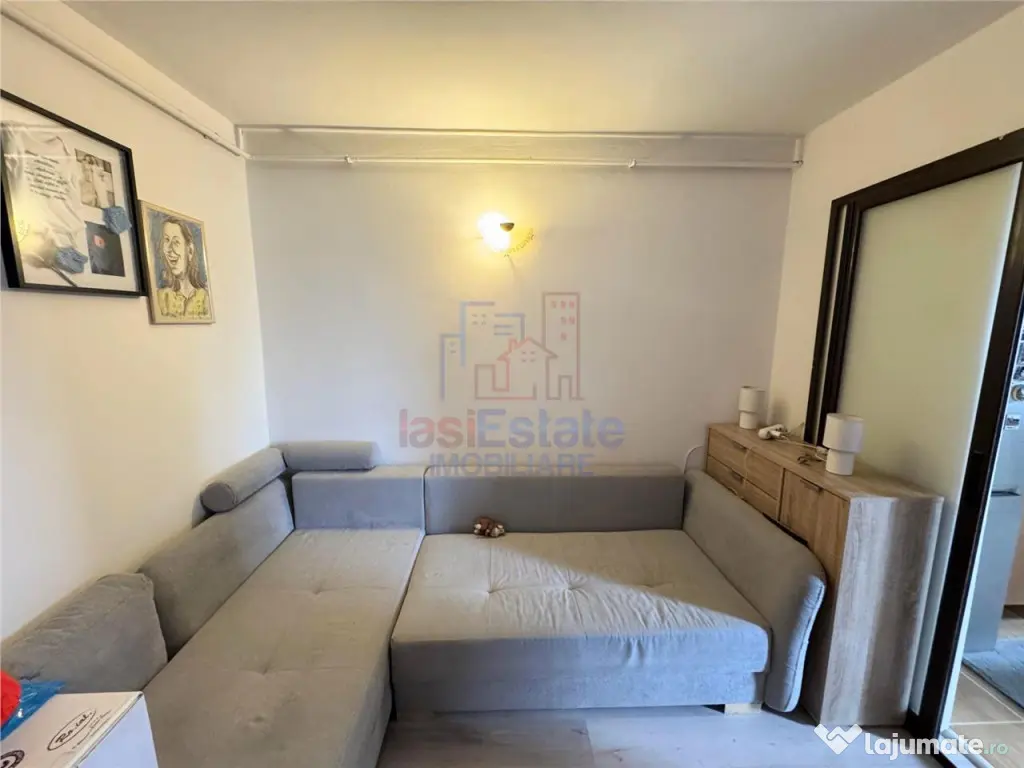 Garsoniera zona Alexandru cel Bun