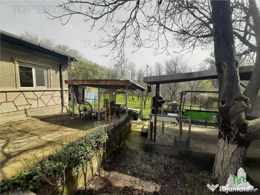 Teren 1274 mp cu livada si casa veche Primarie Bragadiru