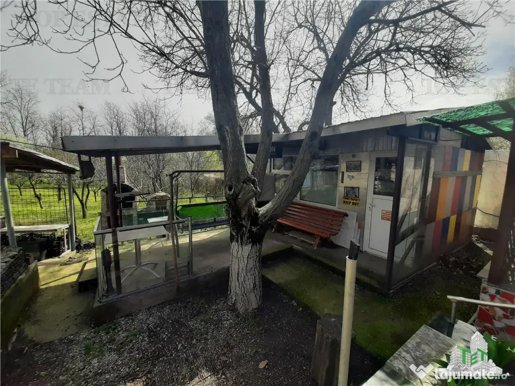 Teren 1274 mp cu livada si casa veche Primarie Bragadiru