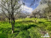 Teren 1274 mp cu livada si casa veche Primarie Bragadiru 