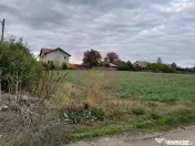 COSERENI (IL) - SE VINDE TEREN 2000 MP LA SOS BUCURESTI -... 