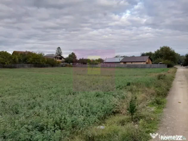 COSERENI (IL) - SE VINDE TEREN 2000 MP LA SOS BUCURESTI -...