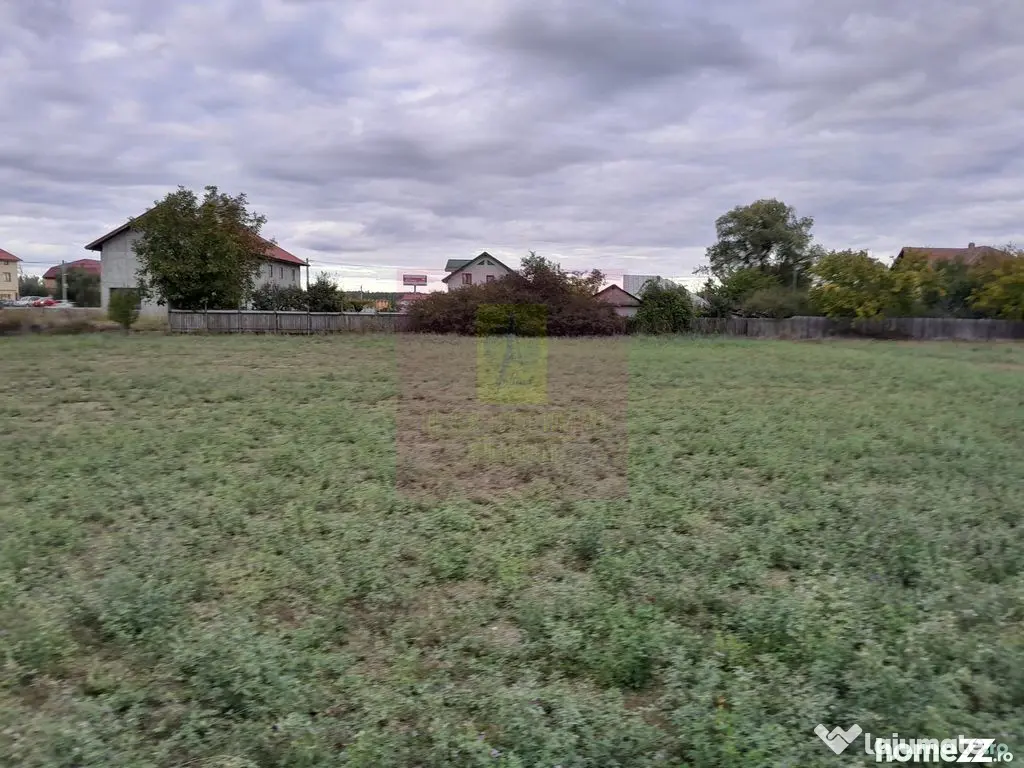 COSERENI (IL) - SE VINDE TEREN 2000 MP LA SOS BUCURESTI -...