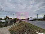 COSERENI (IL) - SE VINDE TEREN 2000 MP LA SOS BUCURESTI -...