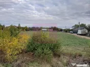 COSERENI (IL) - SE VINDE TEREN 2000 MP LA SOS BUCURESTI -... 