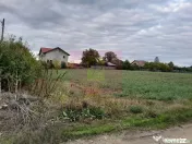COSERENI (IL) - SE VINDE TEREN 2000 MP LA SOS BUCURESTI -... 