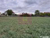 COSERENI (IL) - SE VINDE TEREN 2000 MP LA SOS BUCURESTI -... 