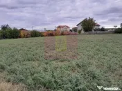 COSERENI (IL) - SE VINDE TEREN 2000 MP LA SOS BUCURESTI -... 