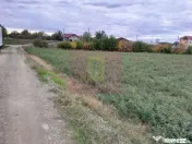 COSERENI (IL) - SE VINDE TEREN 2000 MP LA SOS BUCURESTI -... 