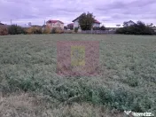COSERENI (IL) - SE VINDE TEREN 2000 MP LA SOS BUCURESTI -... 