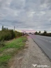 DE VANZARE TEREN 2000 MP - COSERENI( il ) 