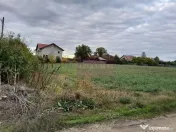 DE VANZARE TEREN 2000 MP - COSERENI( il ) 