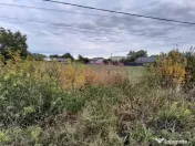 VANZARE TEREN 2000 MP (52 ML DESCHIDERE LA E85 ) - COSERE... 