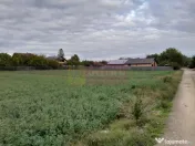 VANZARE TEREN 2000 MP (52 ML DESCHIDERE LA E85 ) - COSERE... 