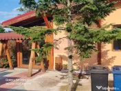 VANZARE CASA OASPETI + ANEXE IN SAT TEISORI (JUD. GIURGIU) 