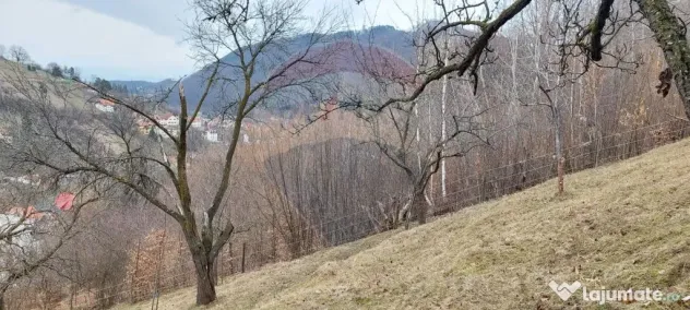 Teren de vânzare – Brașov, zona Dupa Iniste, 2710 mp