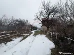 Casă cu teren Tifesti