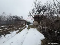 Casă cu teren Tifesti