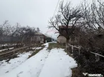 Casă cu teren Tifesti