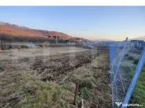 Teren intravilan 7 ari, construcție casă, zonă liniștit?