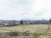 Teren 9,979mp Crizbav / Strada Crucii