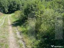 Teren de vanzare in zona Casele Micesti