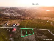 RECO Teren intravilan in Saldabagiu de Munte 