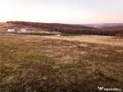 RECO Teren intravilan in Saldabagiu de Munte 