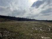 RECO teren intravilan #238;n Oradea 