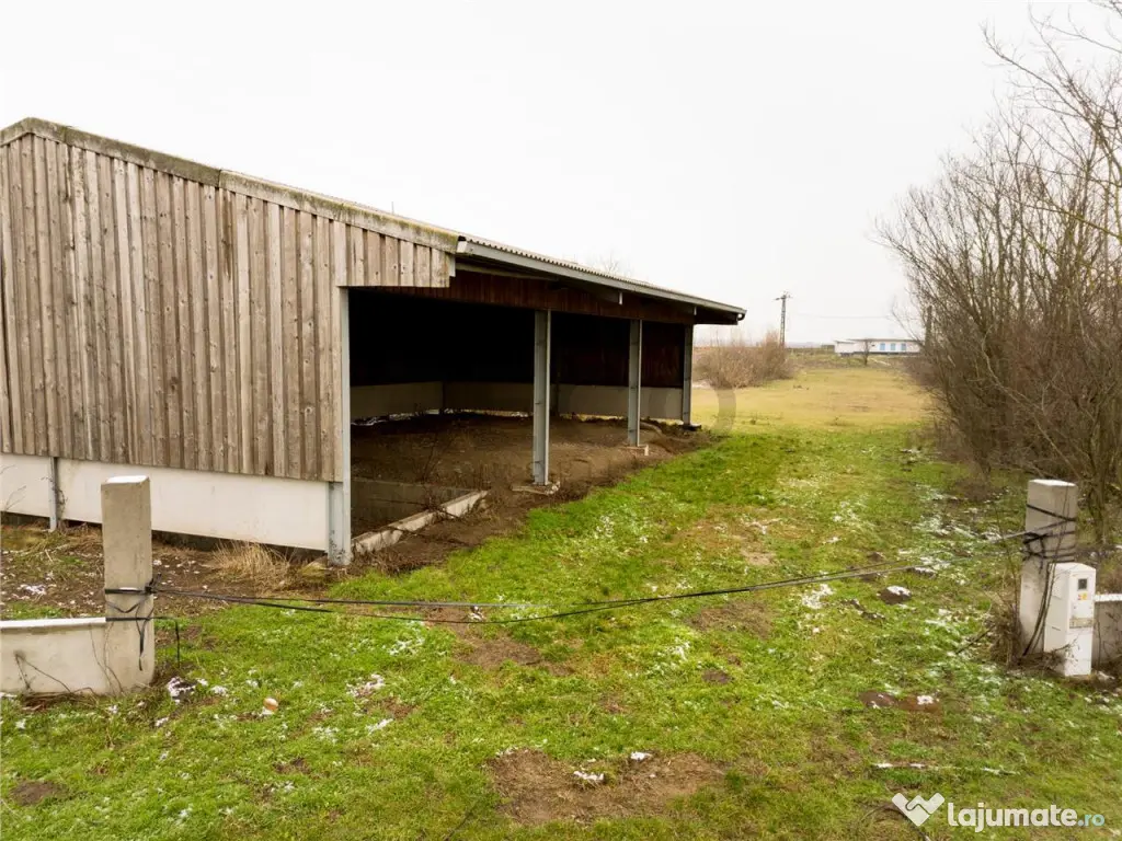 RECO . Teren intravilan cu hala metalica in Roit .